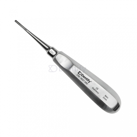 Bein Root Elevator 2mm Straight Stainless Steel Dental Extraction Tool
